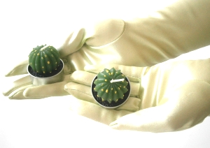 Pflanzen knnen auch Allergien auslsen