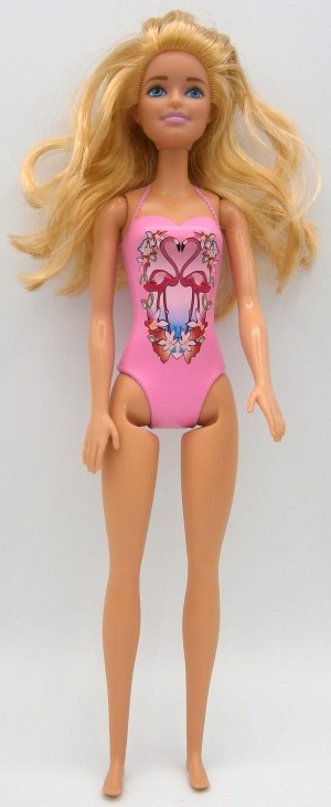 Body