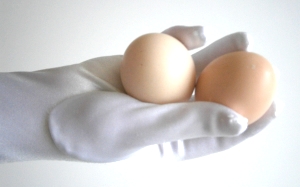 Gesunde Eier sind Bio