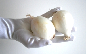 Zwiebel schmeckt in jeder Suppe